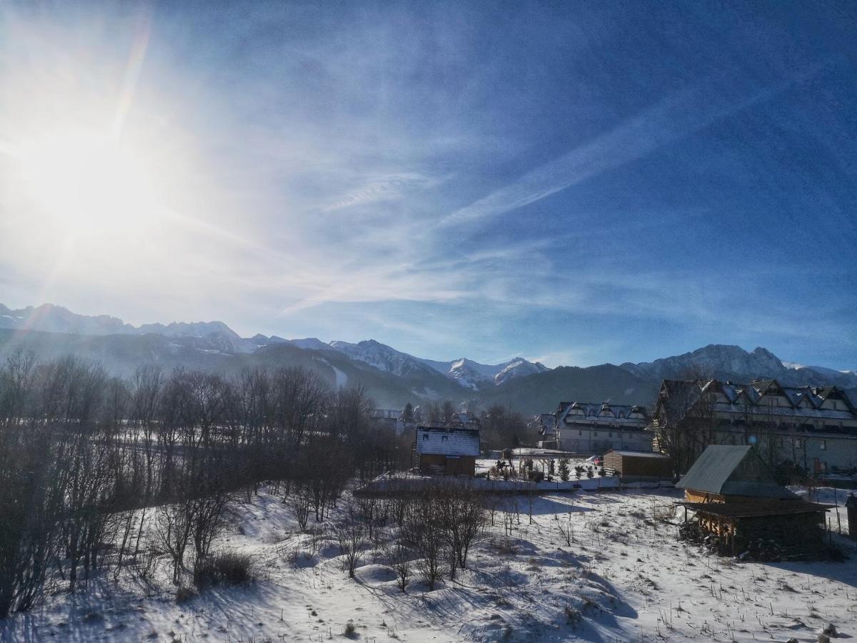 Villa 84 & Apartments Jacuzzi & Sauna Zakopane Bagian luar foto